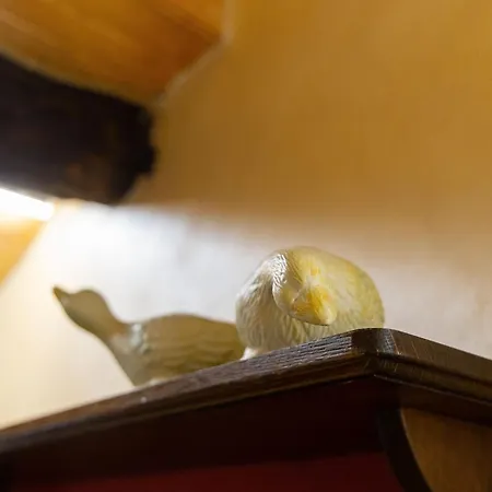 Mon Reve Apartmán *